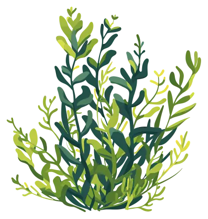 Green Leafy Plants Illustration