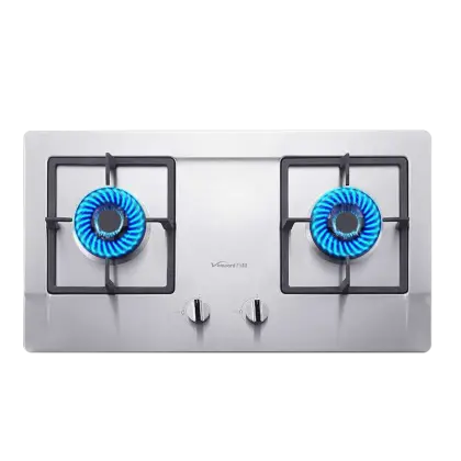 Modern Gas Stove with Blue Flames
