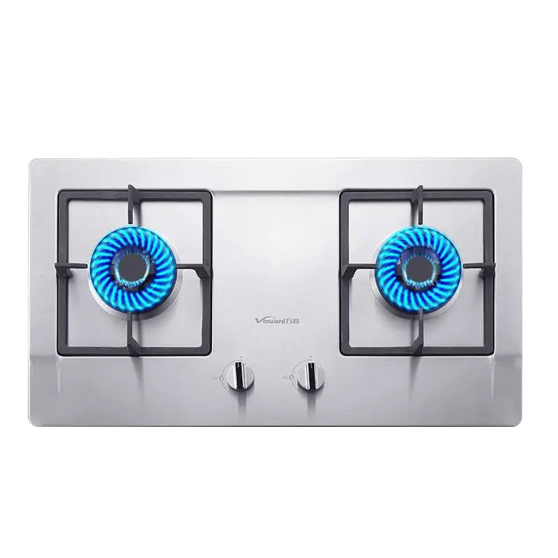 Modern Gas Stove with Blue Flames