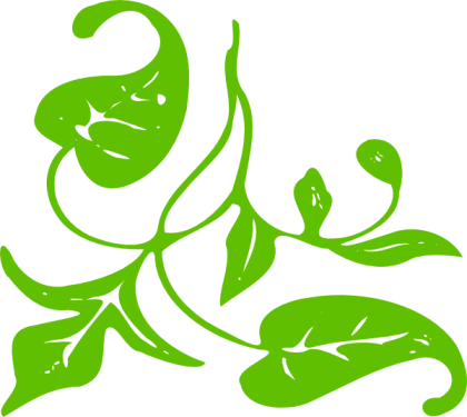 Green Vine Leaves Graphic Illustration
