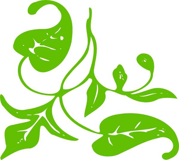 Green Vine Leaves Graphic Illustration