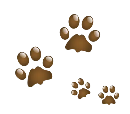 Cute brown animal paw prints design