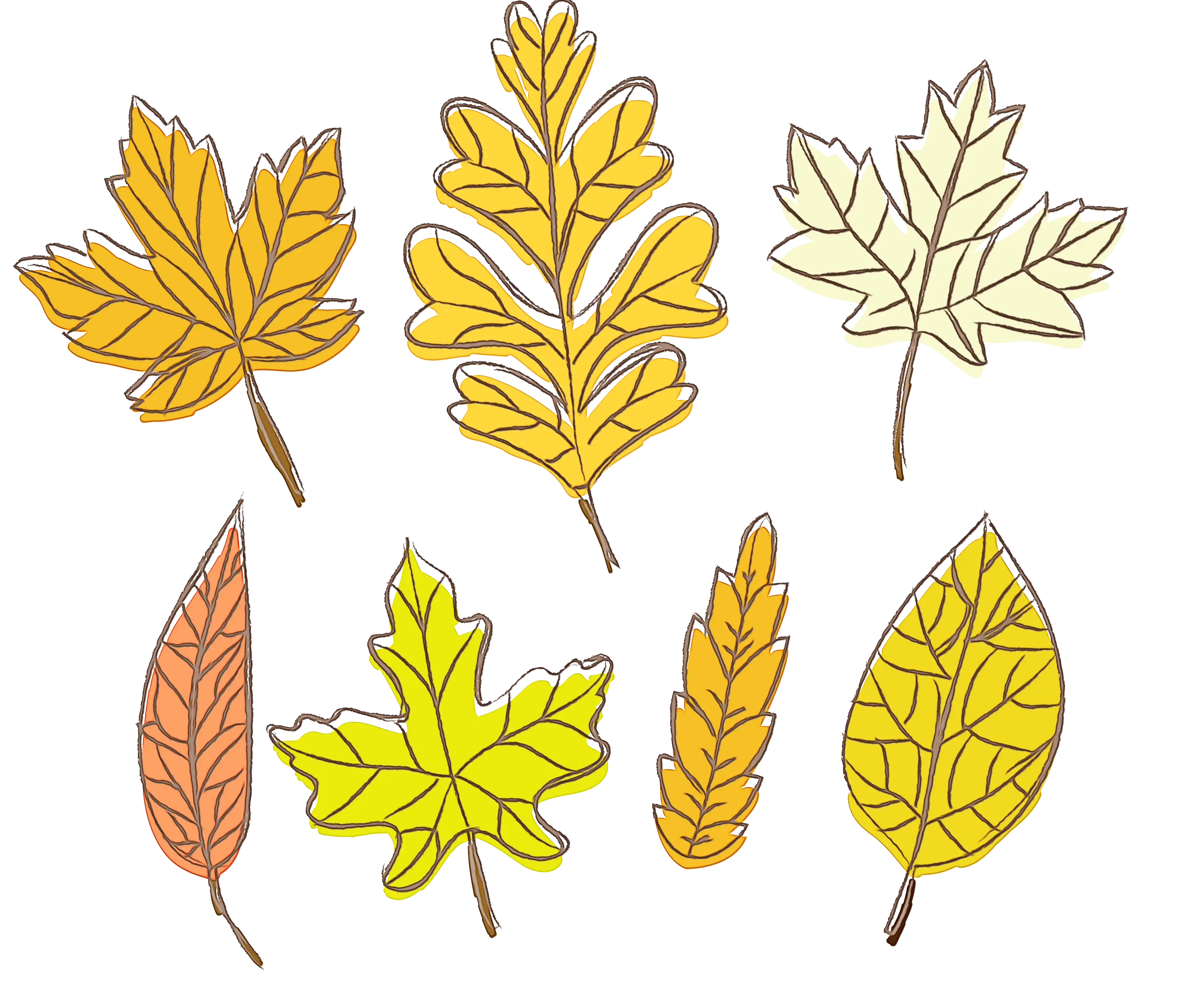 Illustrated Collection of Autumn Leaves