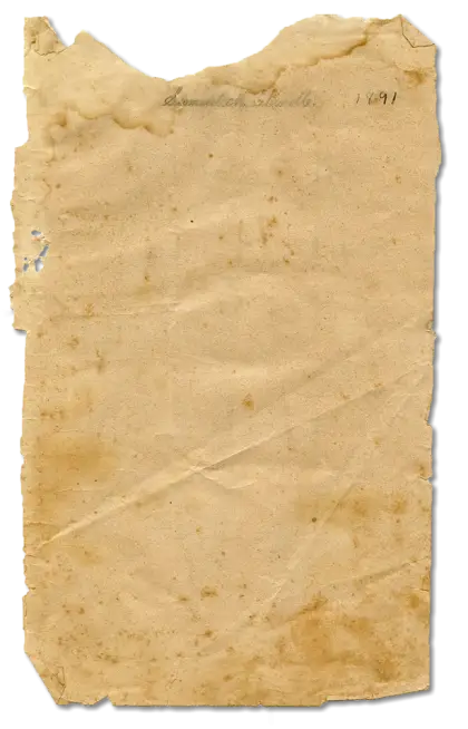 Vintage Aged Paper
