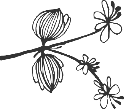 Black and White Flower Branch Line Art