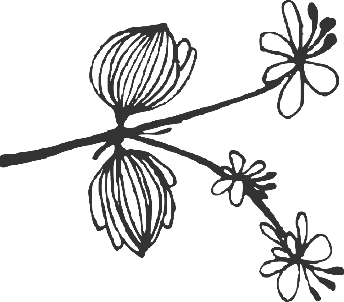 Black and White Flower Branch Line Art