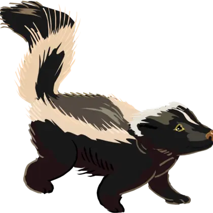 Cartoon Skunk Illustration for Wildlife Concept