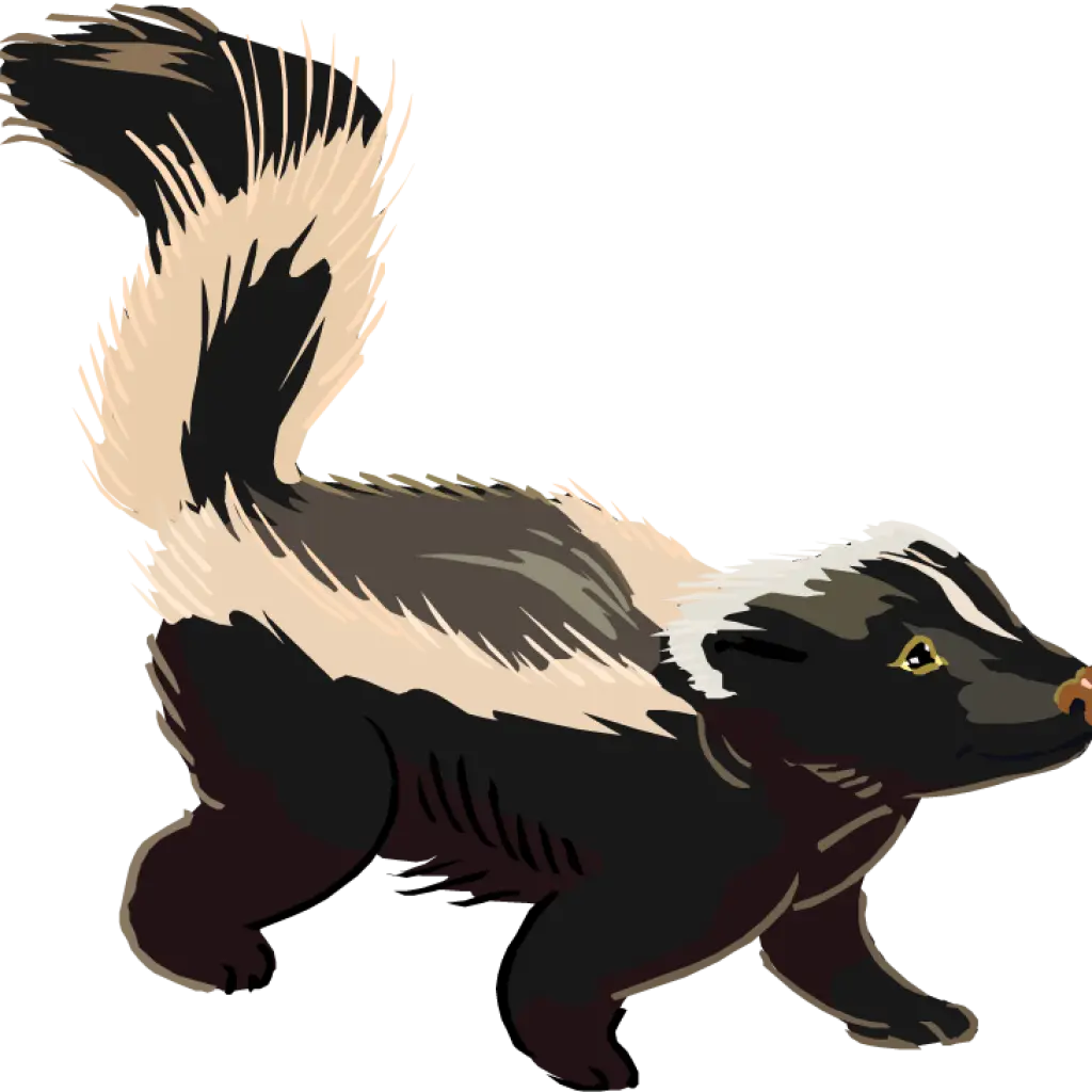 Cartoon Skunk Illustration for Wildlife Concept