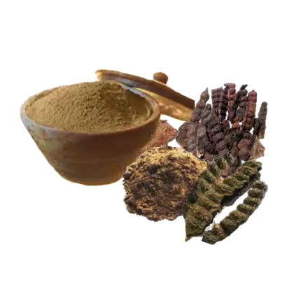 Assorted Herbs and Spices
