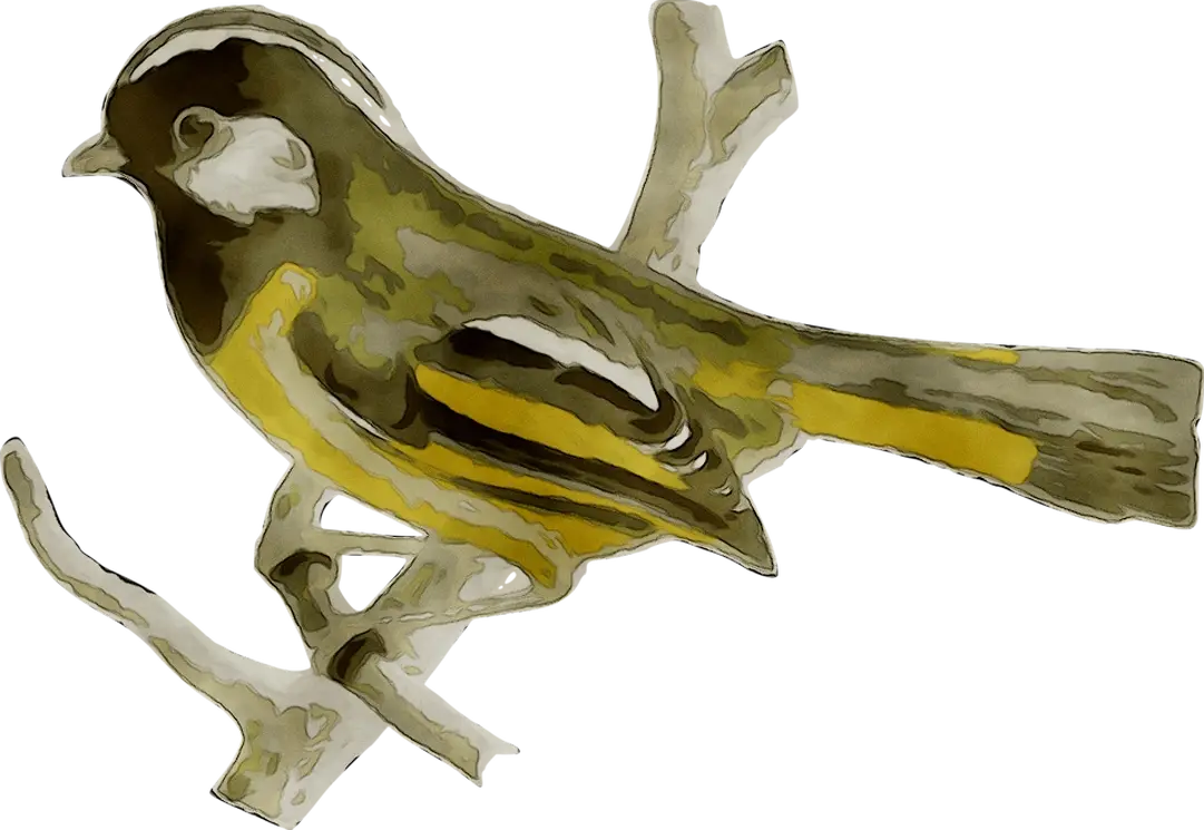 Artistic Painted Bird Perched on a Branch