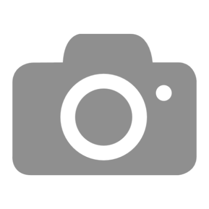 Minimalist Gray Camera Icon
