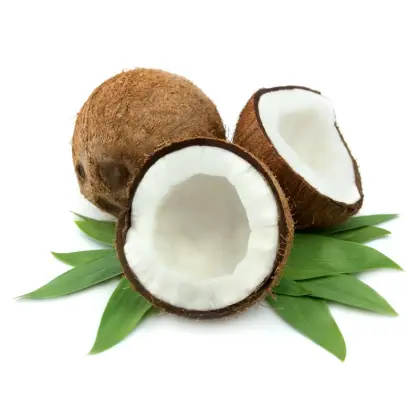 Whole and Halved Coconuts on Leaves