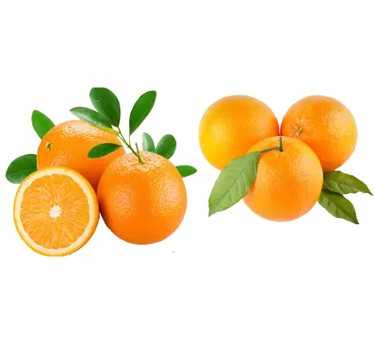 Fresh Oranges with Leaves and Halved Orange