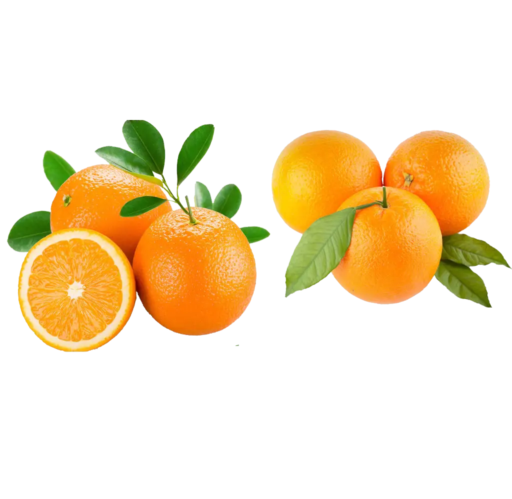 Fresh Oranges with Leaves and Halved Orange