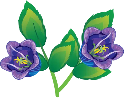 Purple Flowers with Green Leaves
