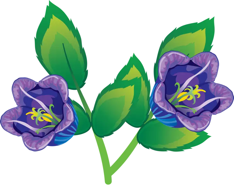 Purple Flowers with Green Leaves