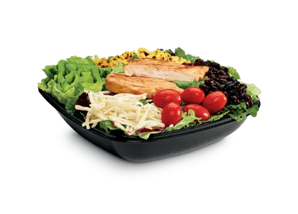 Fresh Salad Plate with Vegetables and Chicken