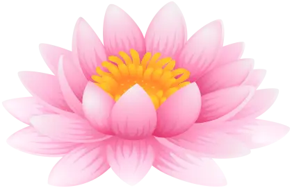 Pink Lotus Flower Illustration