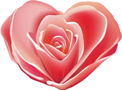 Pink Heart Rose for Romantic Themes