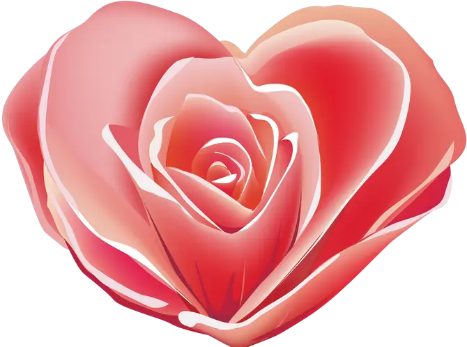 Pink Heart Rose for Romantic Themes