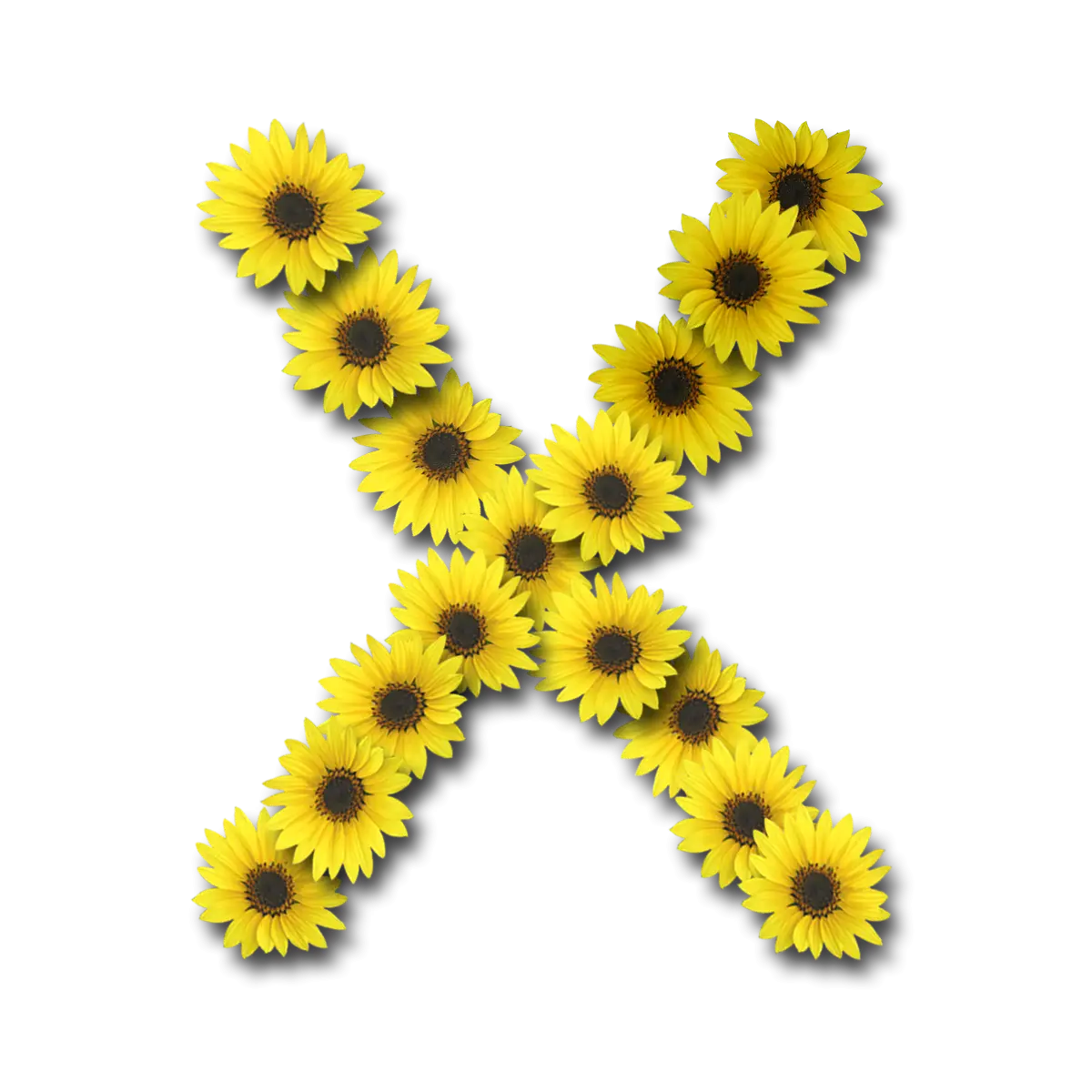 Letter X Made of Sunflowers