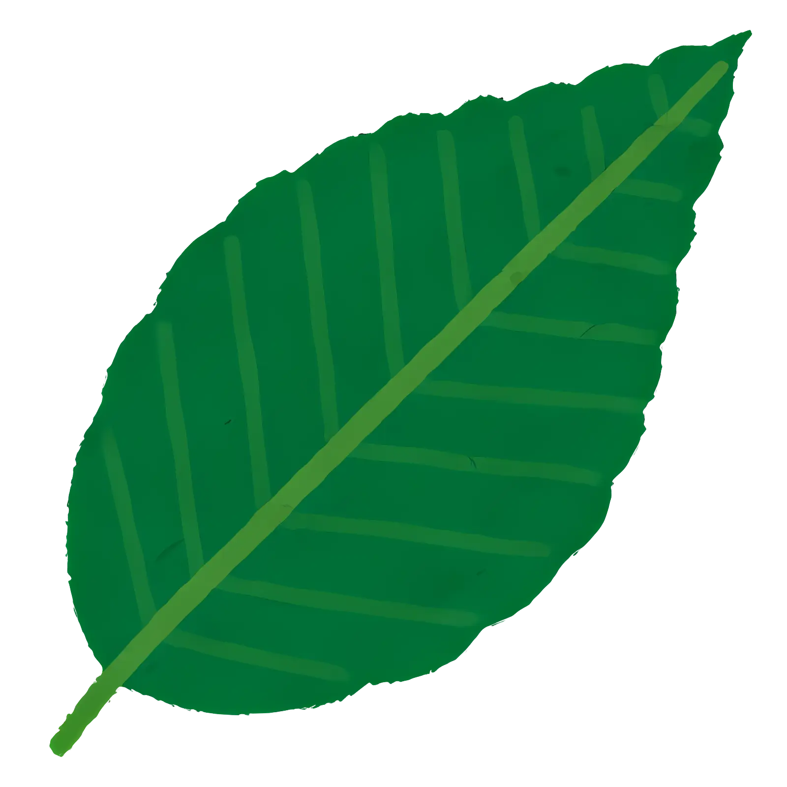 Simple Green Leaf Illustration