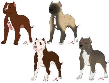 Pitbull Dog Breeds Illustration