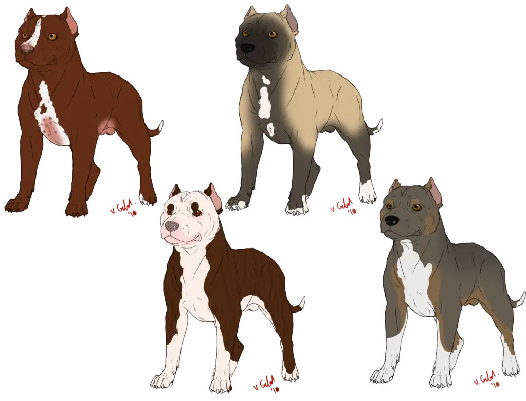 Pitbull Dog Breeds Illustration