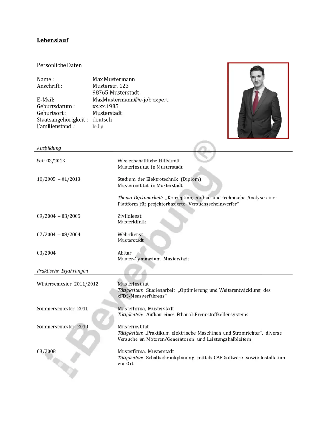 Professional Resume Document