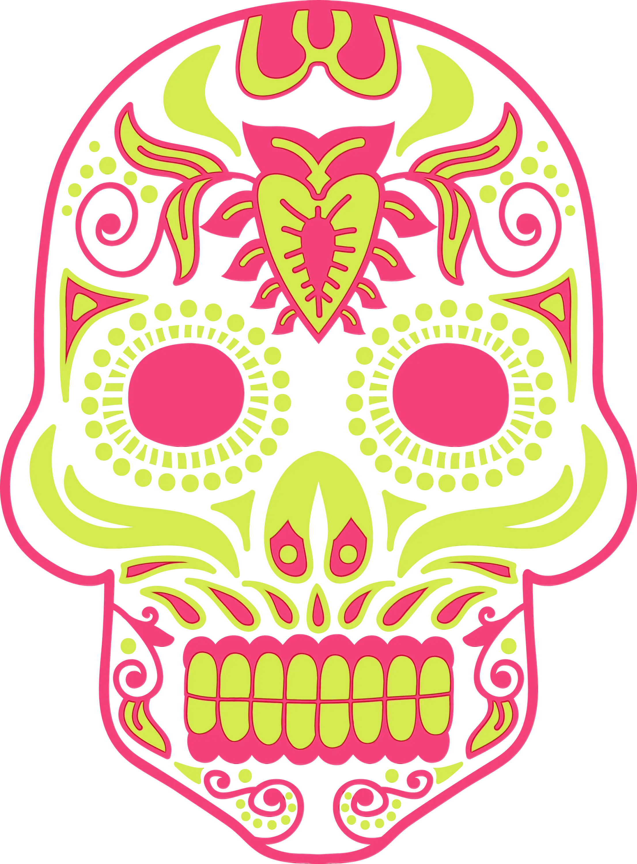 Colorful Sugar Skull Illustration for Day of the Dead