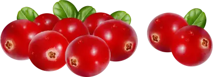Red Cranberries with Leaves Design