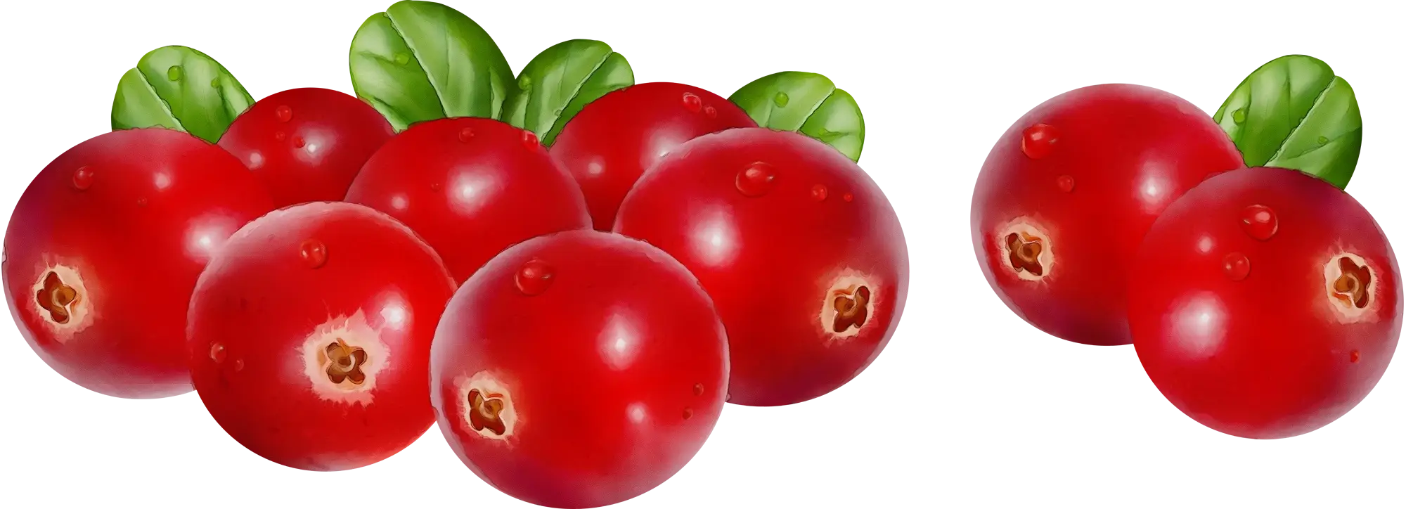 Red Cranberries with Leaves Design