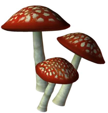 Red Toadstools with White Spots