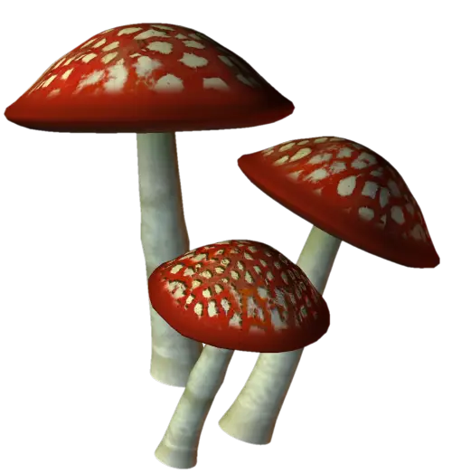 Red Toadstools with White Spots