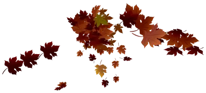 Autumn Leaves Falling Scene