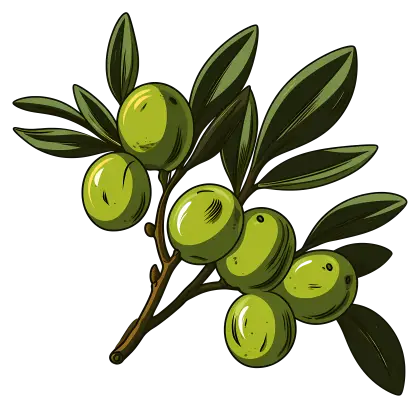 Olive Branch with Multiple Fruits