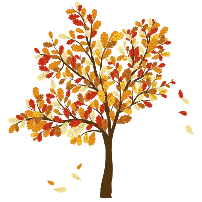 Colorful Autumn Tree Illustration