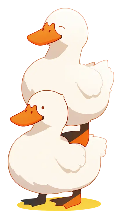 Two White Ducks