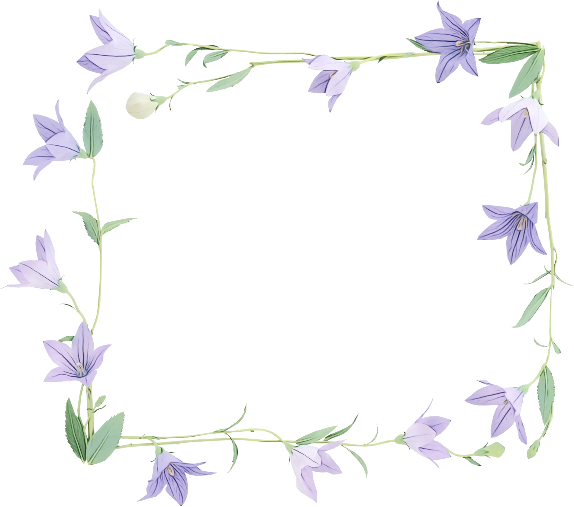 Purple Floral Frame with Delicate Flowers