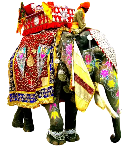 Decorated Elephant with Traditional Patterns