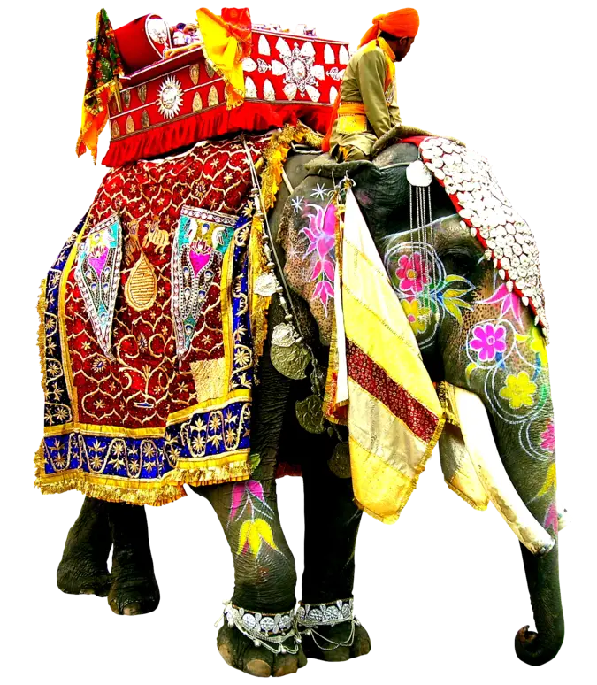 Decorated Elephant with Traditional Patterns