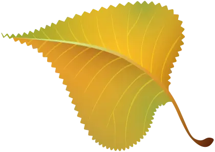 Autumn Leaf Illustration