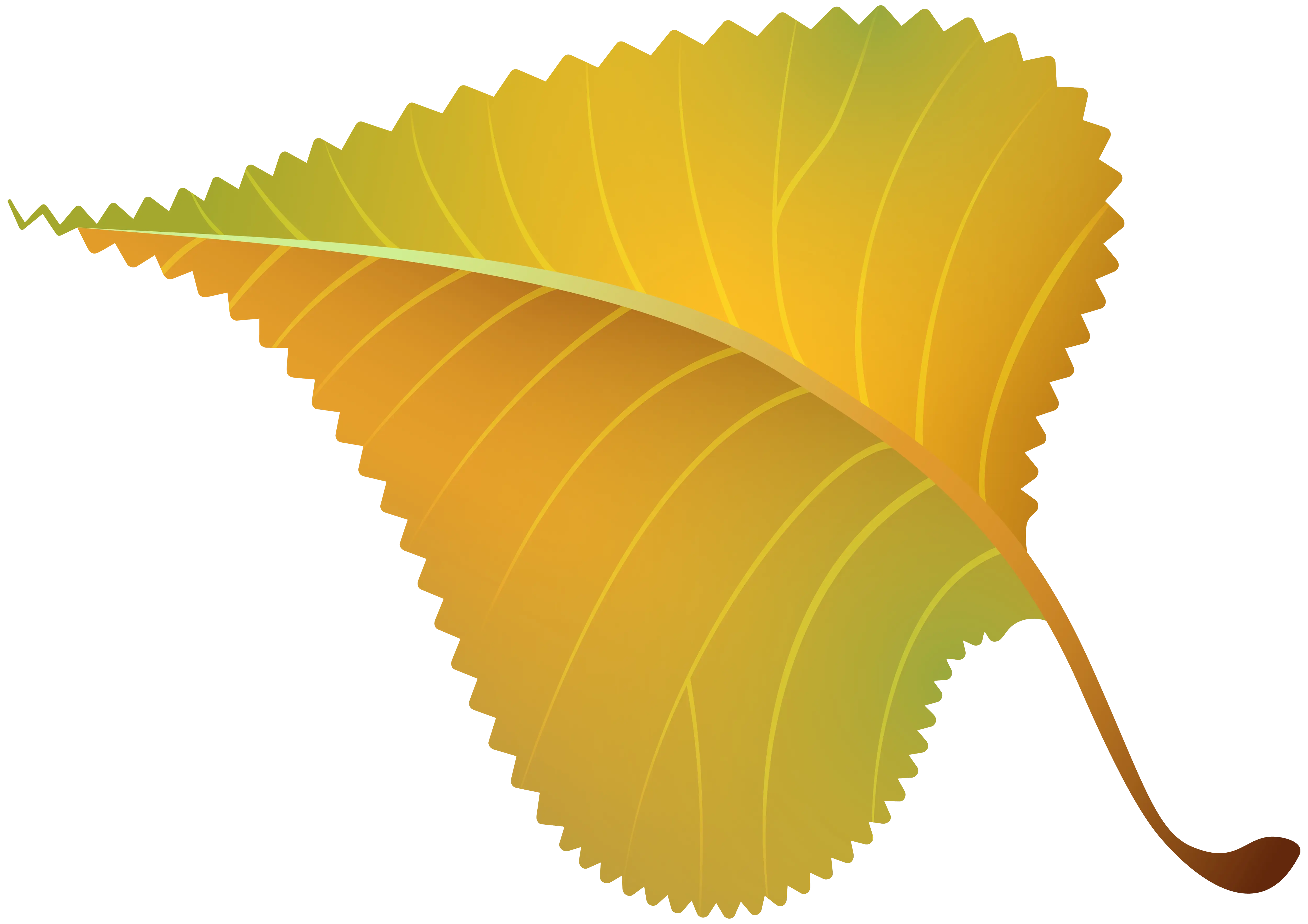 Autumn Leaf Illustration