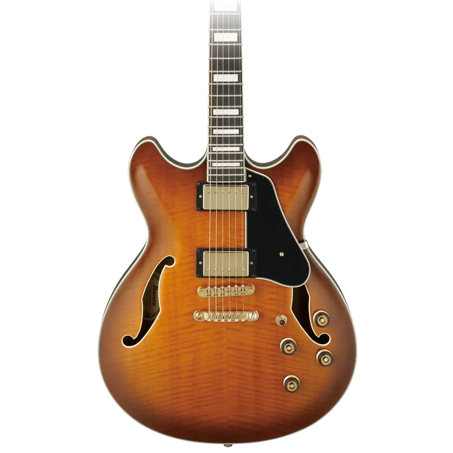 Brown Electric Guitar with F-holes