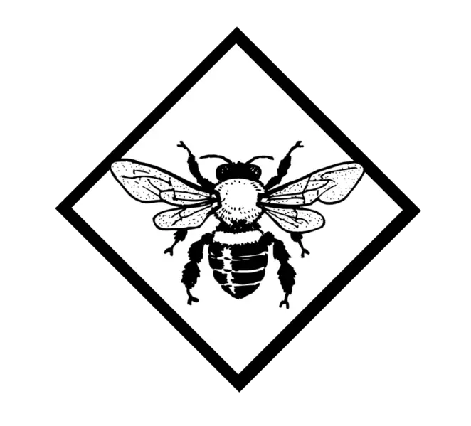 Black and White Bee Illustration