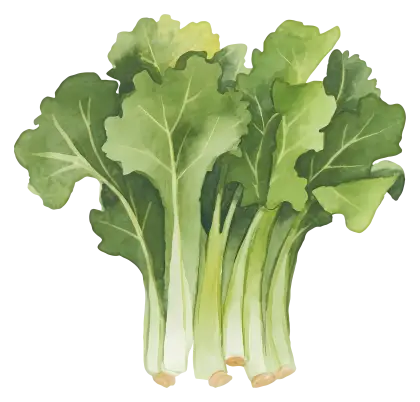 Bunch of Fresh Organic Kale Leaves