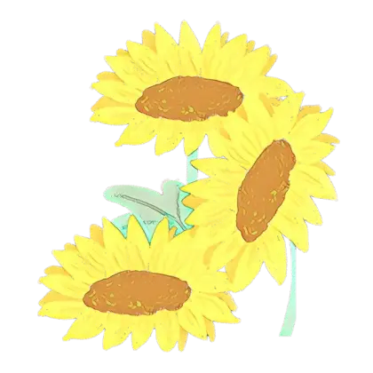 Bright Illustration of Three Sunflowers