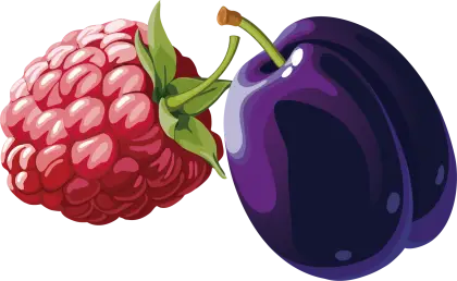 Raspberry and Plum Illustration