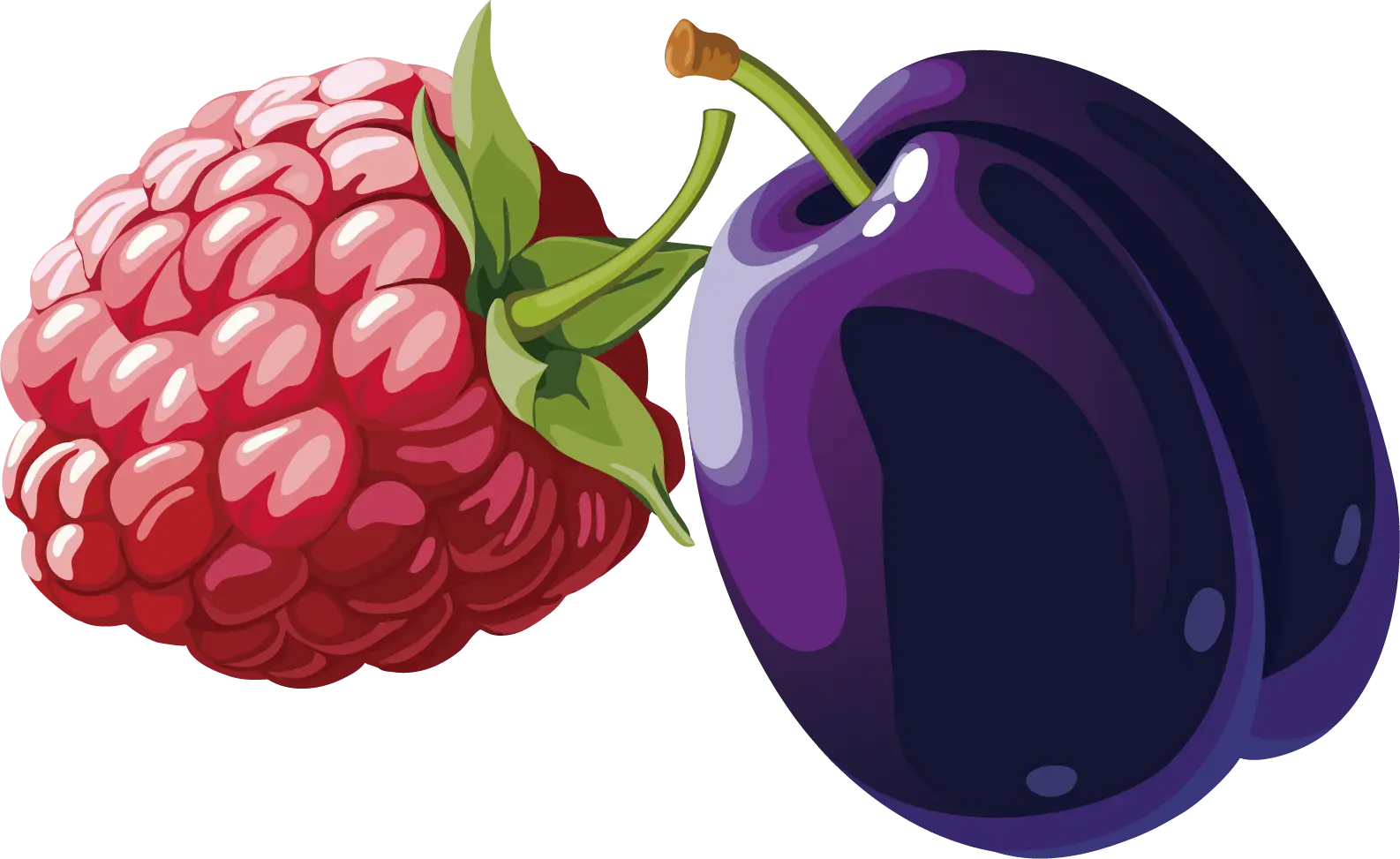 Raspberry and Plum Illustration