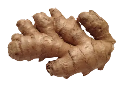 Fresh Ginger Root for Cooking and Remedies